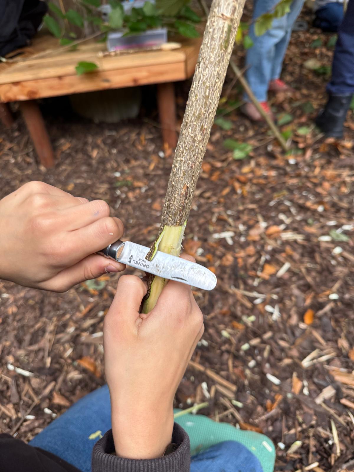 Manzenbergschule Tettnang